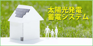 太陽光発電蓄電システム(独立型)